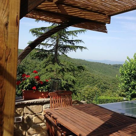 Agriturismo Borgo Nuovo Di Mulinelli Arezzo Exteriér fotografie