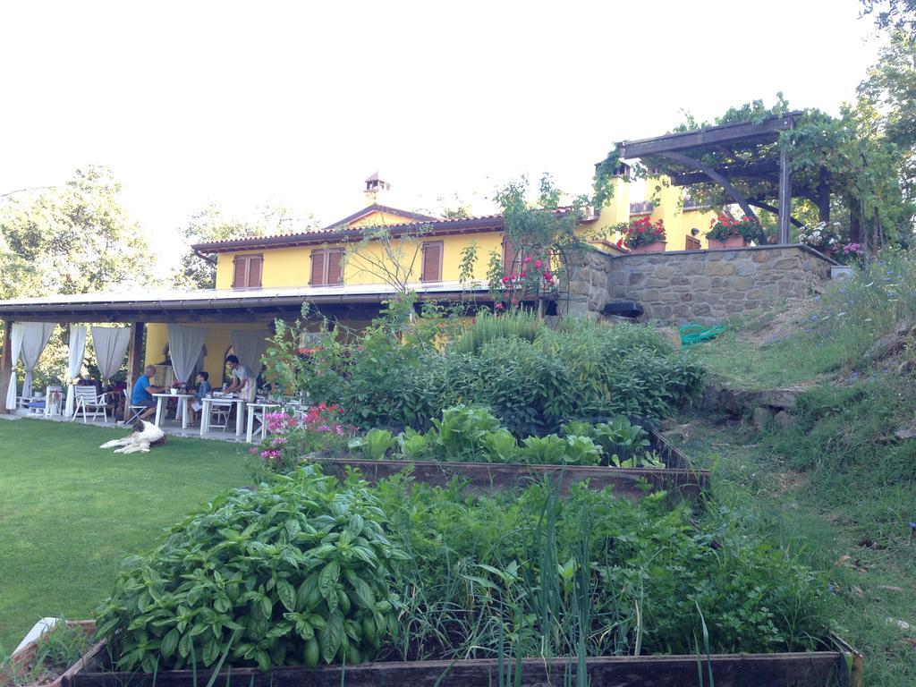 Agriturismo Borgo Nuovo Di Mulinelli Arezzo Exteriér fotografie