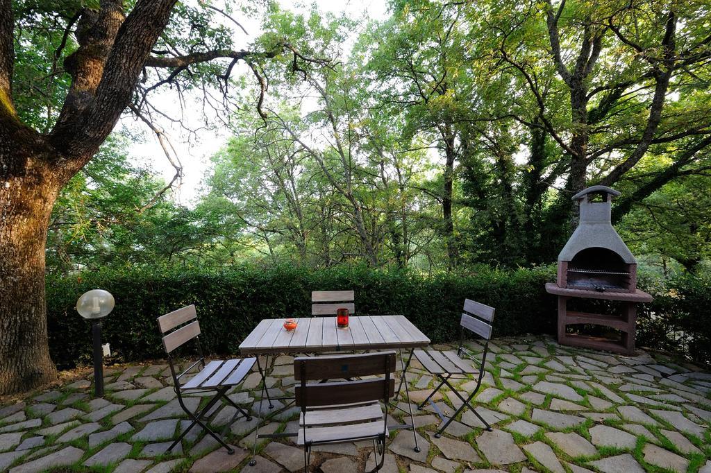 Agriturismo Borgo Nuovo Di Mulinelli Arezzo Exteriér fotografie